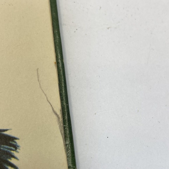 VTG Walt Disney's A Fuzzy Golden Book Bambi 1941 1949 Hardcover Simon Schuster - Picture 12 of 12